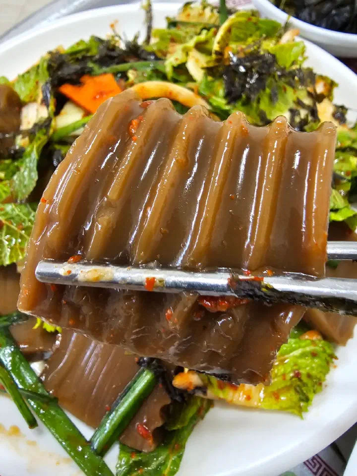 도토리묵무침 클로즈업