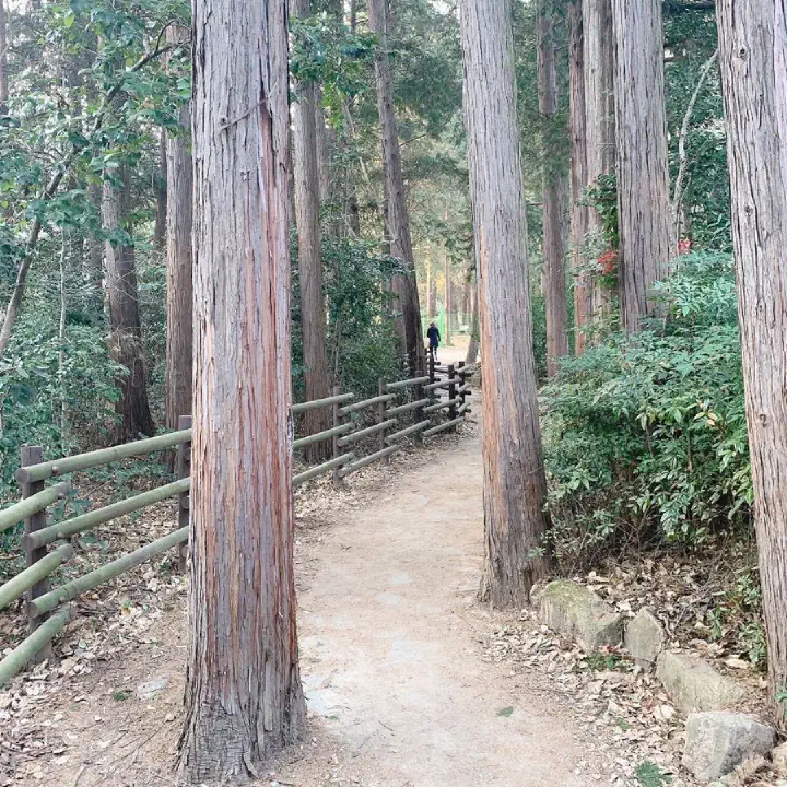 범어사 누리길 산책로