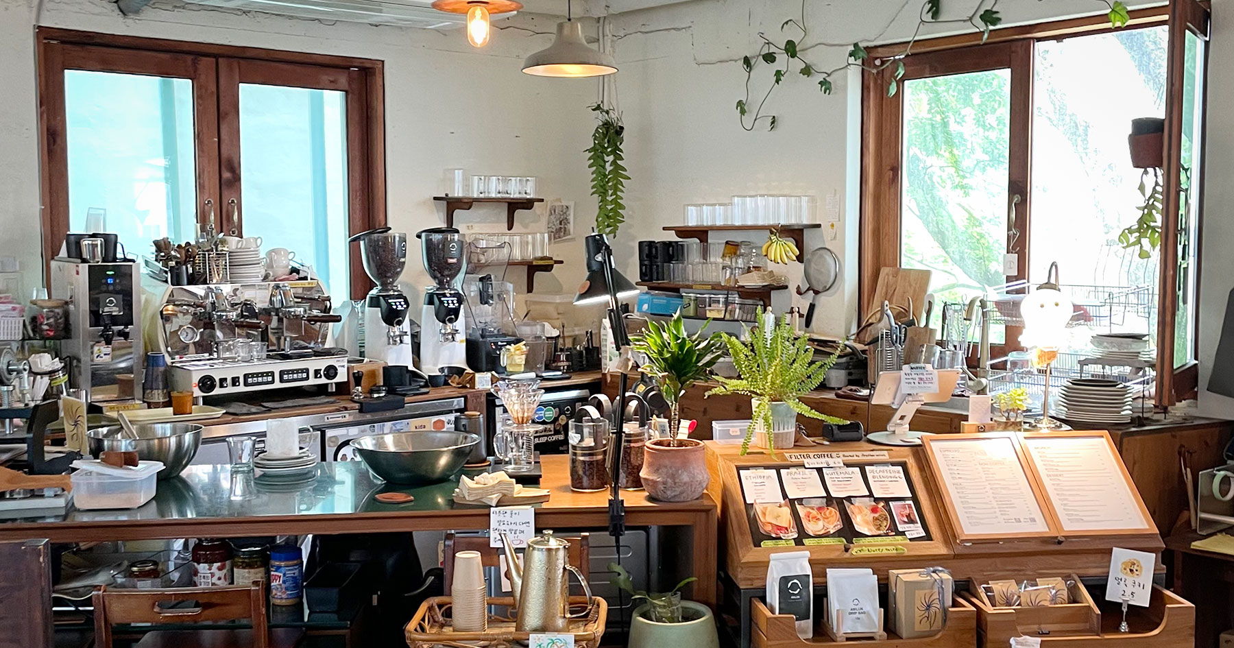 Wood-toned interior and plants at Awluk cafe in Jeonpo