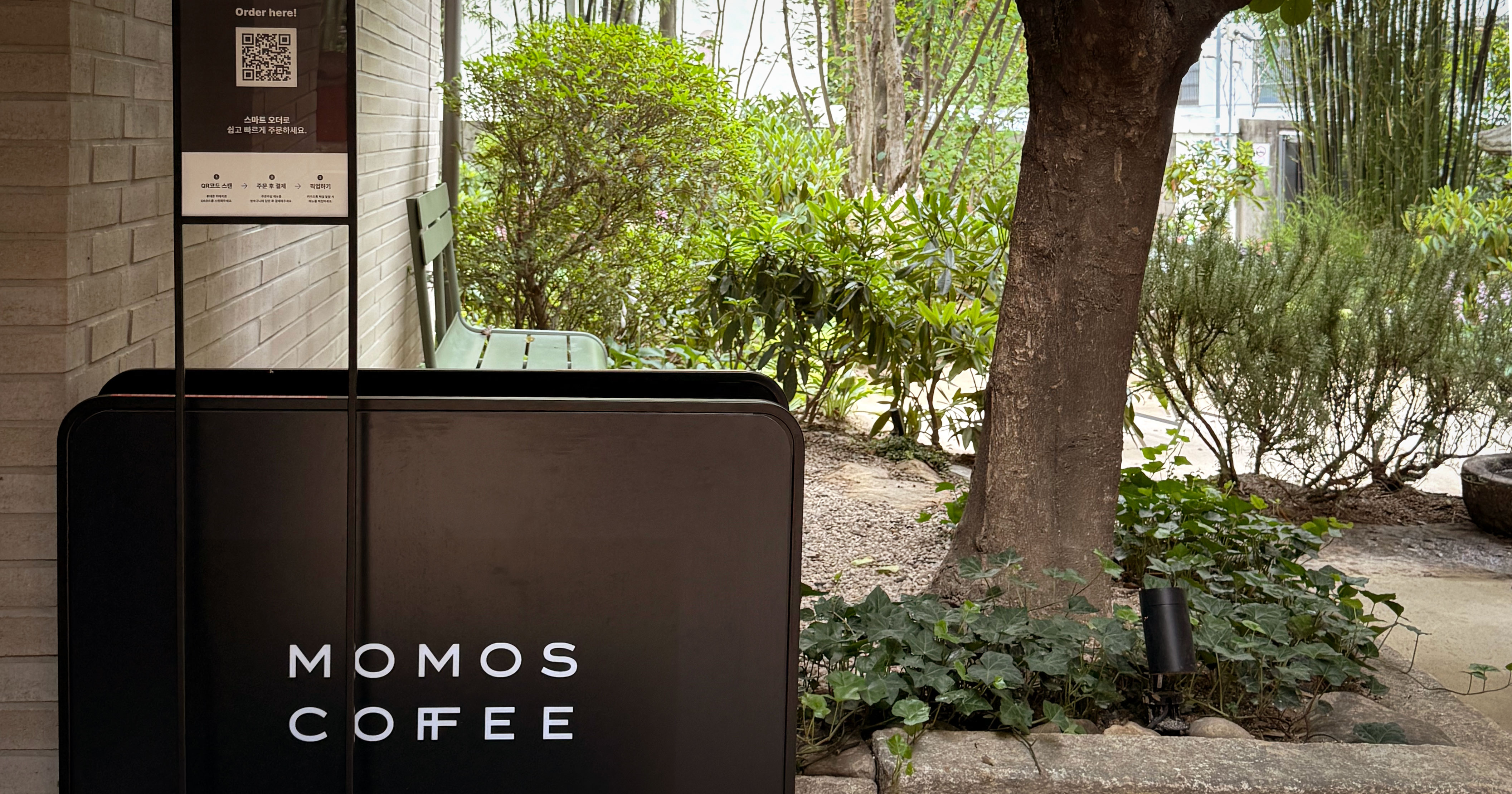 Bamboo entrance and garden at Momos Coffee Flagship Store