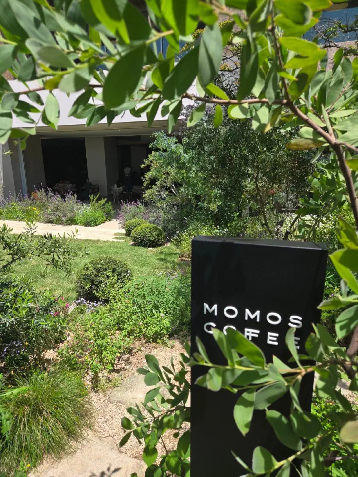 Black Momos Coffee sign standing among green plants at the garden entrance of the flagship store