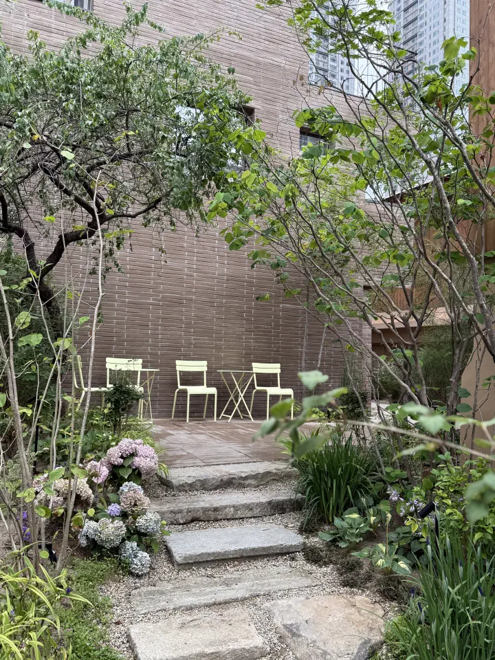 Yellow outdoor tables and chairs beside blooming hydrangeas in the Momos Coffee garden