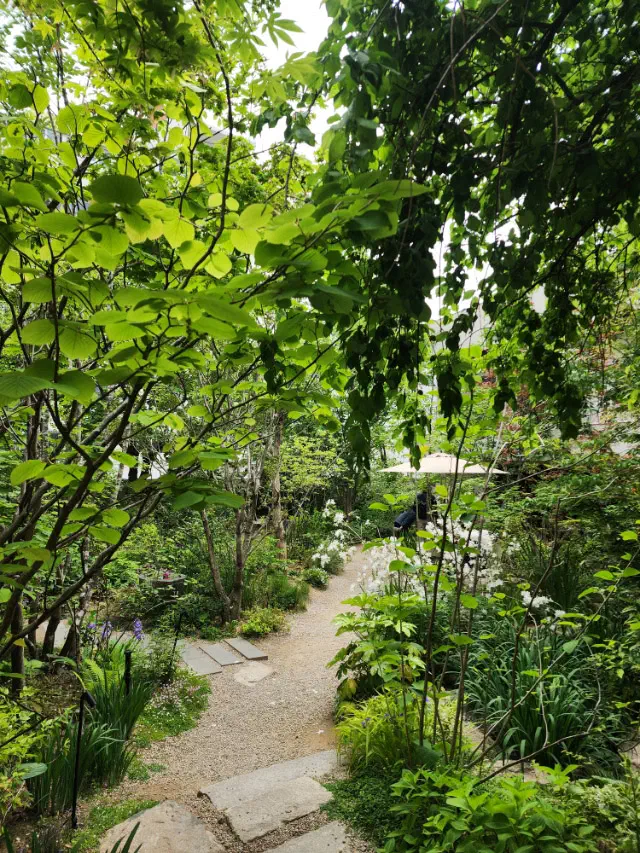 Gravel walking path winding through the lush garden at Momos Coffee Flagship Store