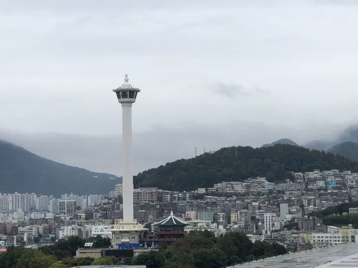 우암동 거리에서 본 부산 풍경