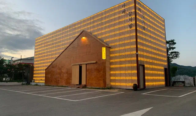 Gamzabatt cafe building lit up at night beside its large parking lot in Chuncheon