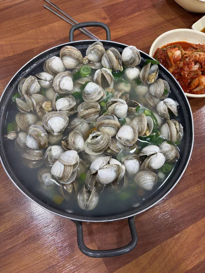 맑은 국물에 통통한 동죽 조개가 가득한 오씨칼국수 물총 조개탕 클로즈업