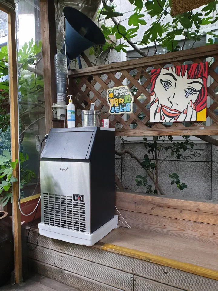 장독대와 화분이 늘어선 봄내 마당