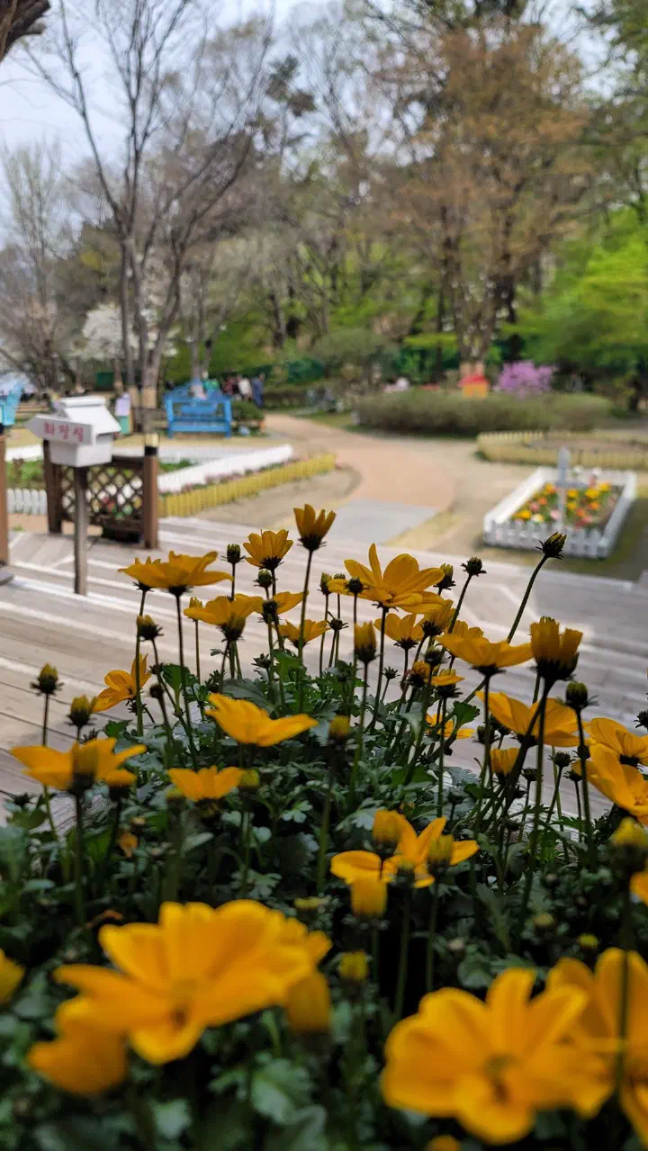 봄꽃이 핀 강마을다람쥐 정원