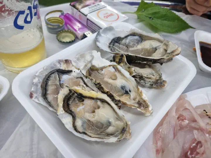 Sea pineapple and oysters served on a plate