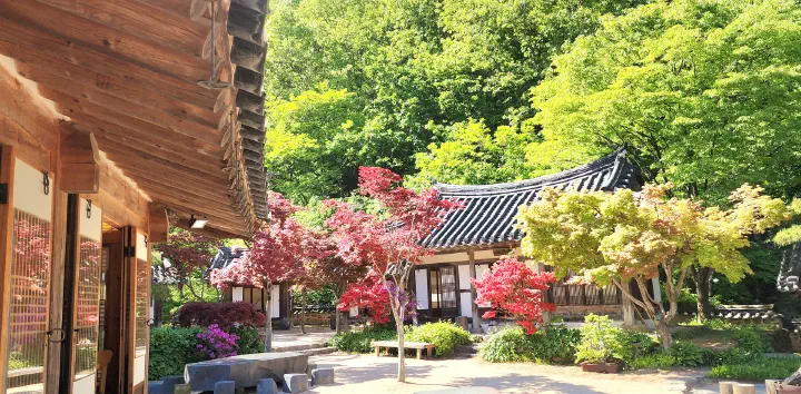 Hanok and spring azaleas at Nakseonjae