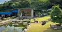 The Road 101: A Huge Garden Cafe Overlooking Green Tea Fields in Hadong