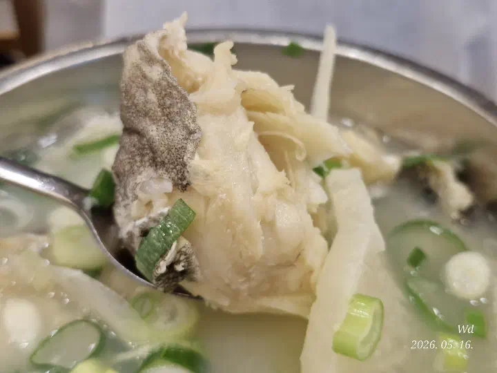 A spoonful of thick cod cheek meat from Haeundae Giwajip Daegutang cod soup