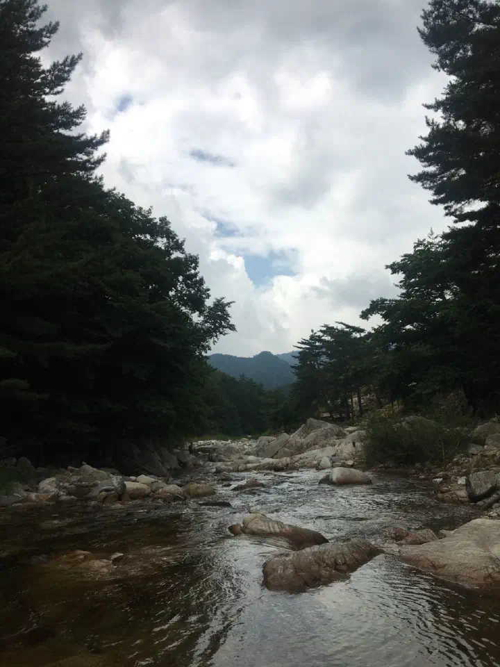 검산막국수 가는 길에 있는 용오름계곡의 바위 계곡 풍경
