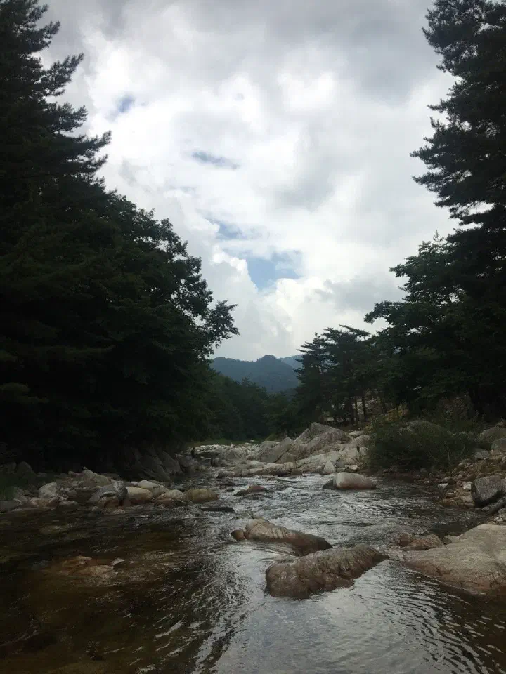 검산막국수 가는 길에 있는 용오름계곡의 바위 계곡 풍경