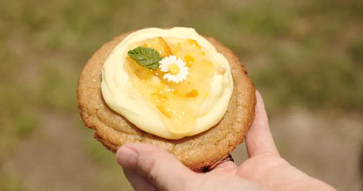 Jeju lemon-yuzu cookie topped with cream cheese and yuzu confit