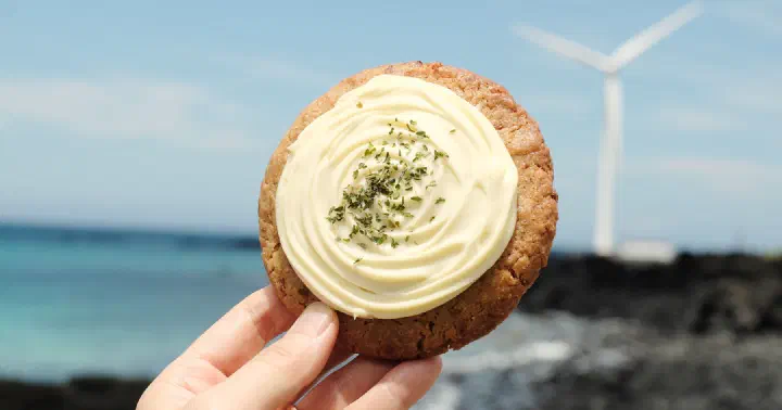 Jeju Manong garlic cookie topped with cream cheese, held in front of a coastal wind turbine