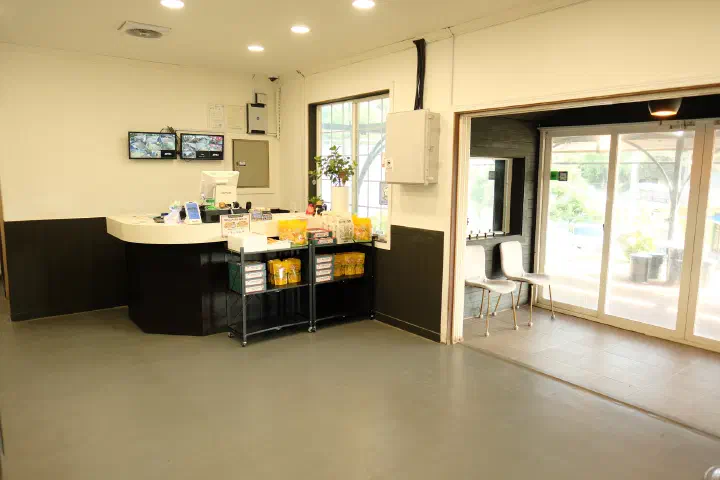 Front counter and waiting area at the entrance of Udam Jeju Jungmun
