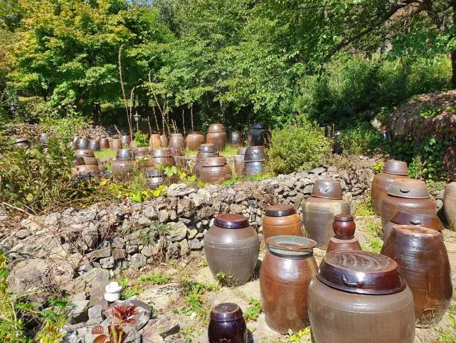 Rows of traditional Korean clay fermentation jars lining the stone wall in the Mokhyangwon yard