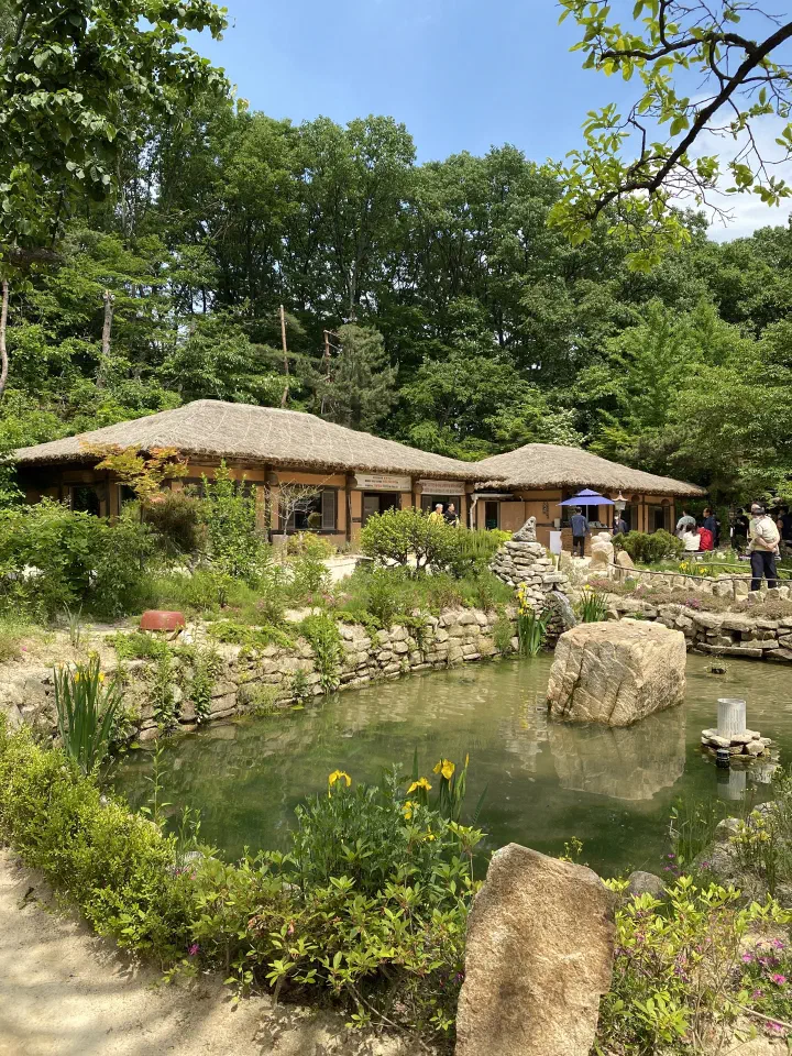 Thatched roof dining halls and the courtyard pond at Mokhyangwon surrounded by summer greenery