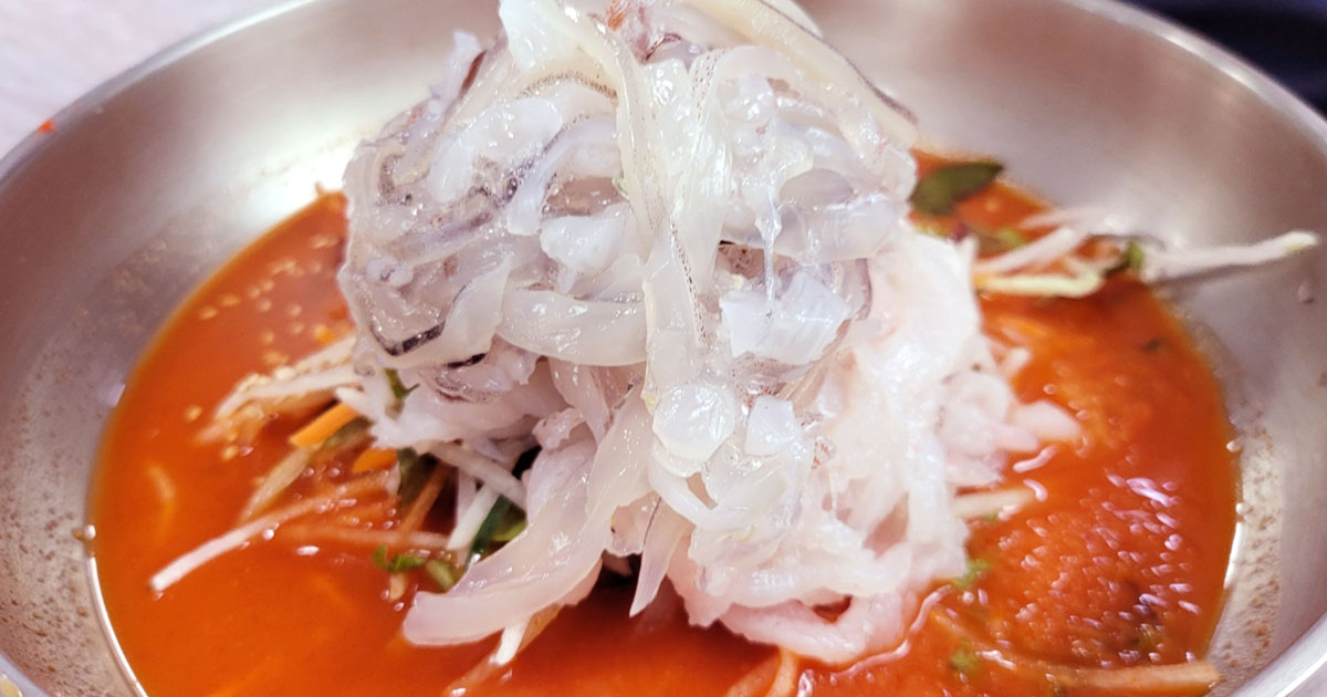 완도회식당 산오징어물회 한 그릇