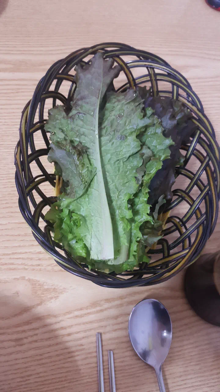 Fresh lettuce and ssam vegetables