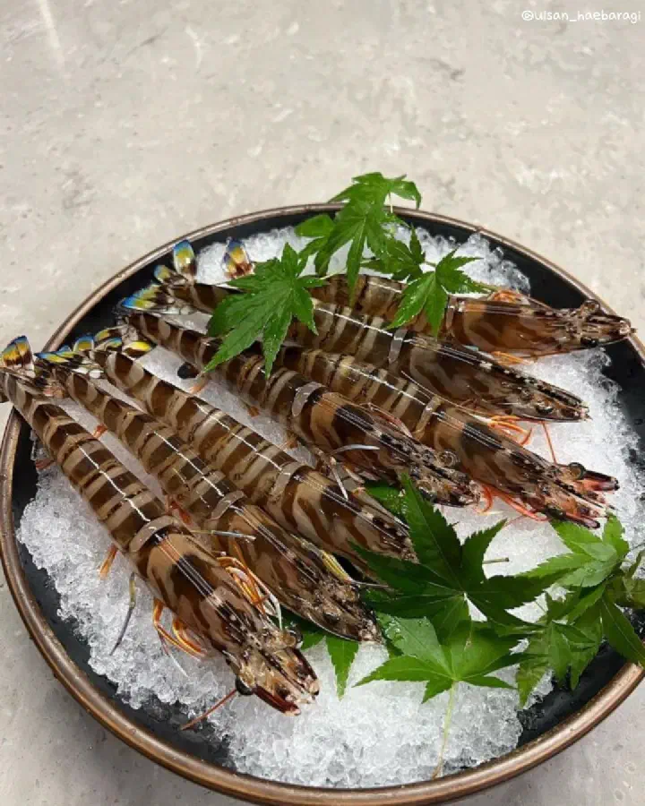 Charcoal-grilled eel at Haebaragi