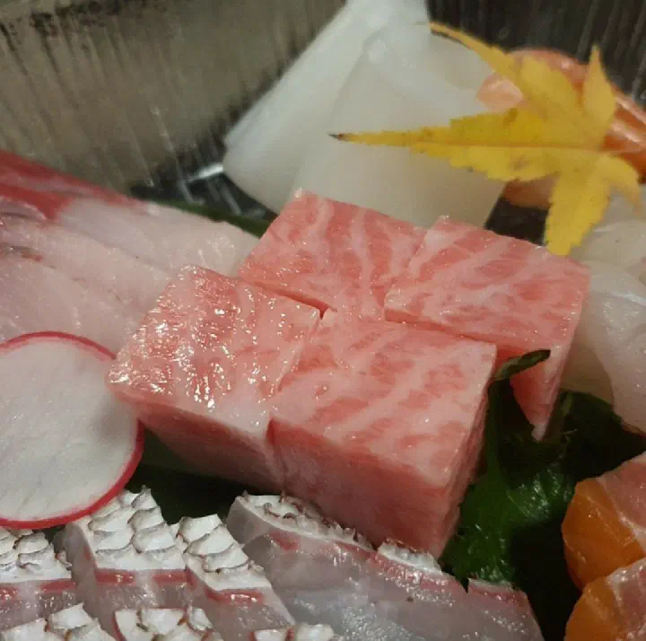 해바라기 참치 사시미