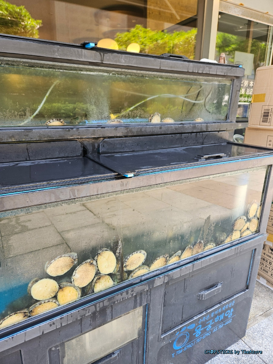 Fresh abalone double-decker aquarium at Wonjo Jeonbokjuk