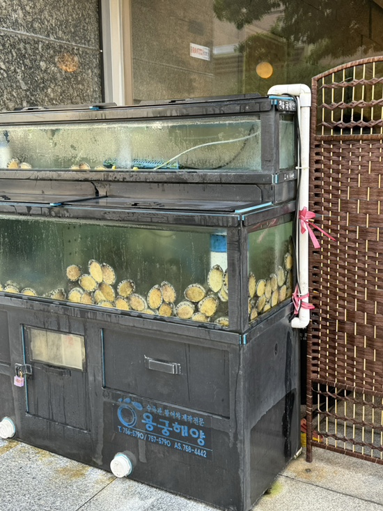 Live abalone in tanks outside Wonjo Jeonbokjuk Haeundae