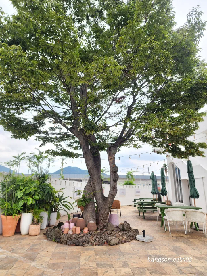 Outdoor terrace with tables and parasols under a zelkova tree at Neutinamu-ui Sarang Cafe