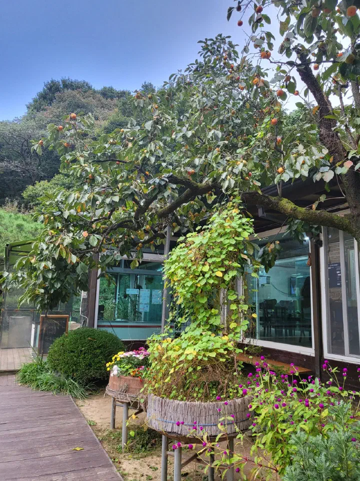 산사랑 가마솥 화분과 꽃