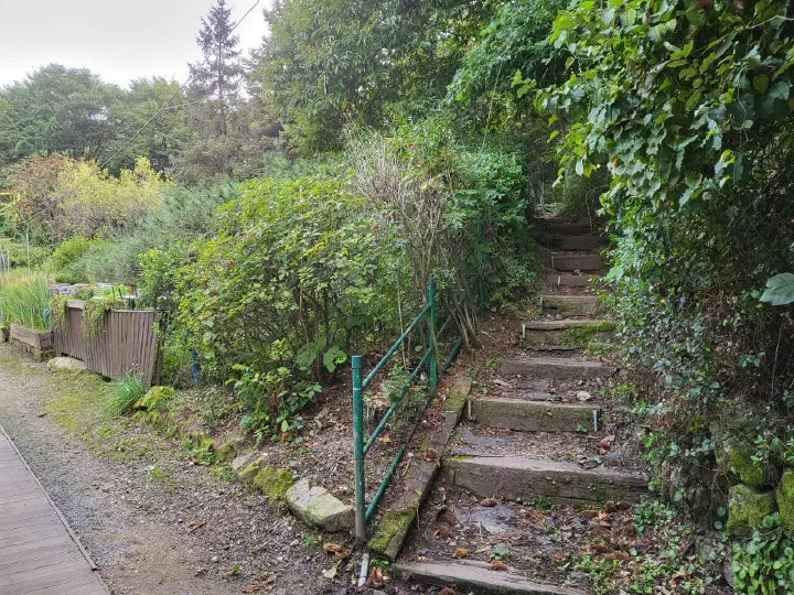 산사랑 가는 산길 계단