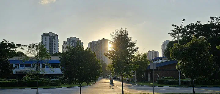 저녁 시간, 나무 사이로 햇빛이 비치는 조용한 도심 거리