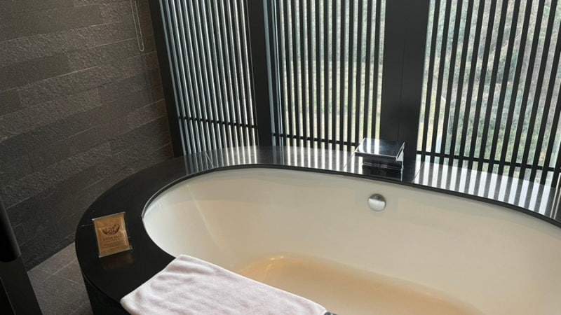 Bathtub detail with natural light from the window
