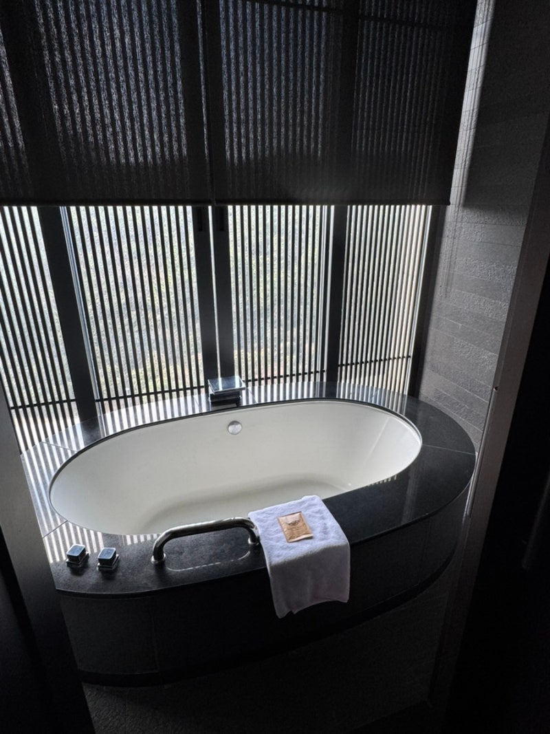 Bathtub placed by the window