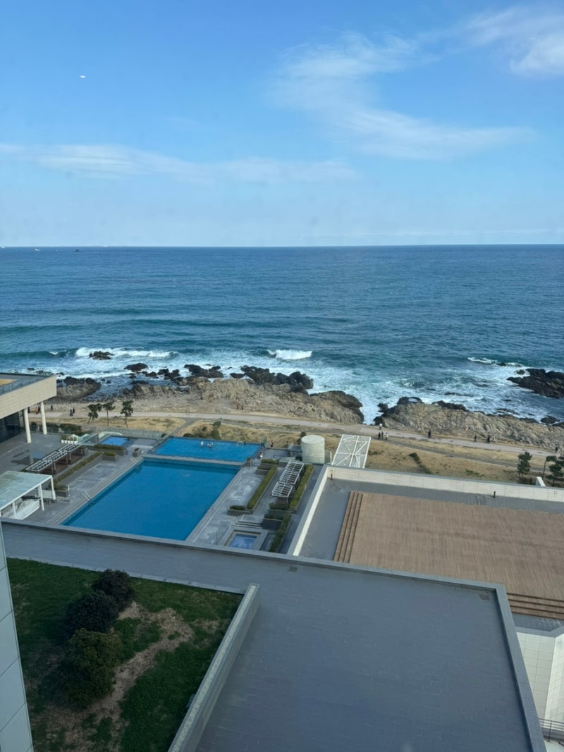 Outdoor pool overview at the Water House with the ocean right next to it