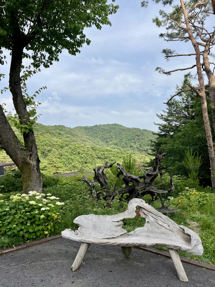A driftwood log bench and root sculpture in the Forest Resom garden overlooking forested mountains