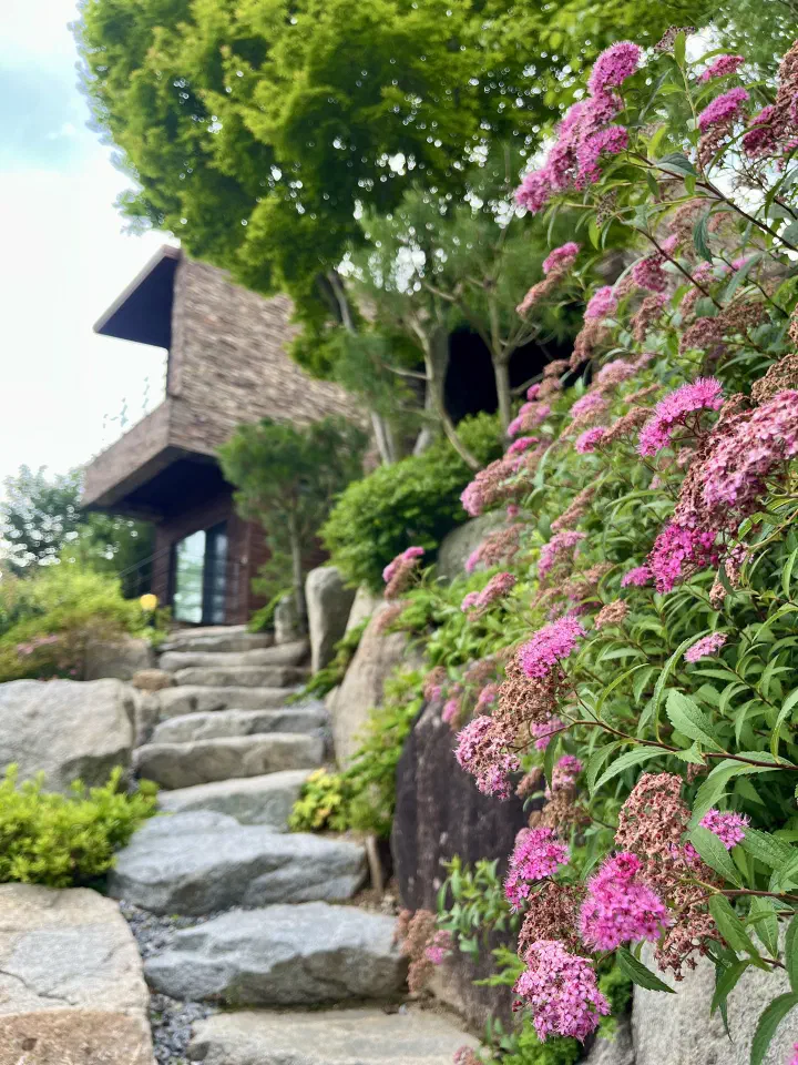A detached Forest Resom villa set in the woods beyond stone steps and pink flowers