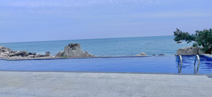 Wide view of the 20m infinity pool at Ocean Bliss - the pool meets the horizon