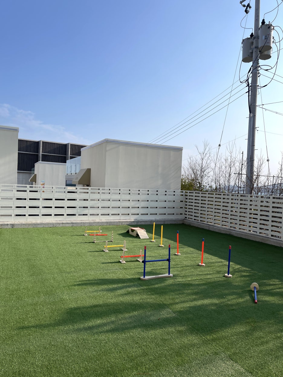 Pet-friendly agility yard at Ocean Bliss - grass area with obstacles for dogs
