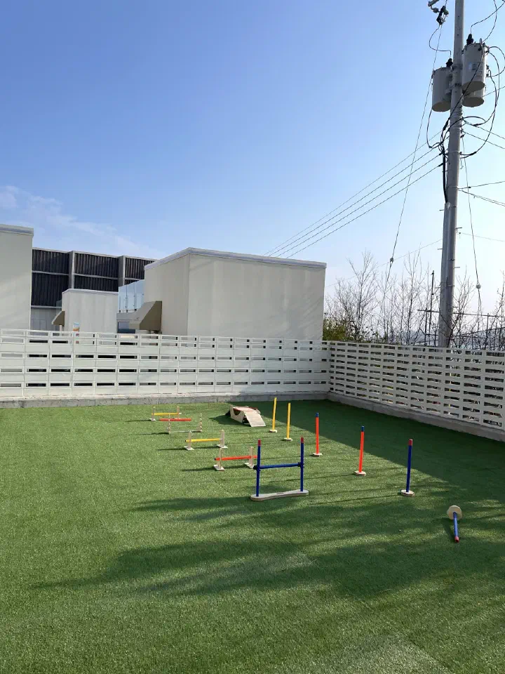 Pet-friendly agility yard at Ocean Bliss - grass area with obstacles for dogs