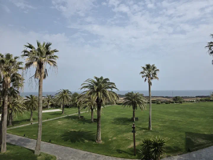 Palm-tree garden and Pyoseon ocean view seen from a room at Haevichi Hotel & Resort Jeju