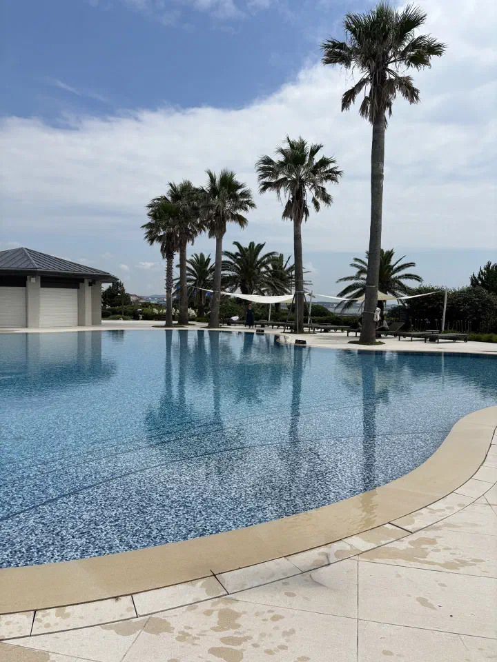 Palm-lined outdoor pool at Haevichi Jeju with a view toward Pyoseon beach
