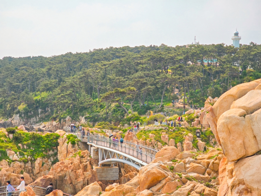 Daewangam Park suspension bridge in Ulsan Dong-gu
