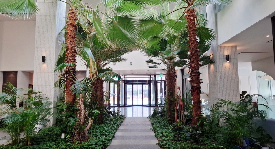 Tanibay Hotel lobby with palm trees and natural light