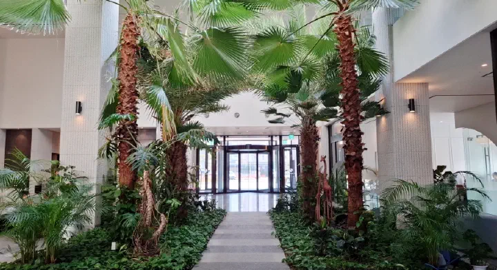 Tanibay Hotel lobby with palm trees and natural light