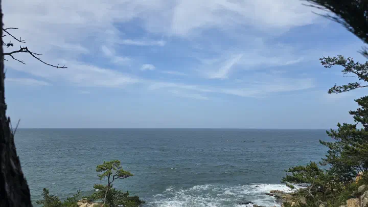 Coastal cliffs and the blue East Sea at Daewangam Park