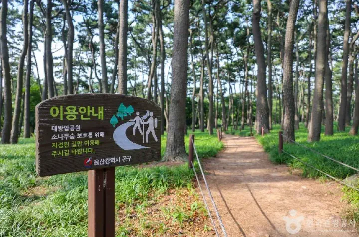울산 대왕암공원 입구 송림 산책로와 안내판