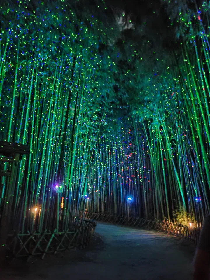 Sipri Bamboo Grove lit with LED lights at night, the Milky Way path at Taehwagang National Garden, Ulsan
